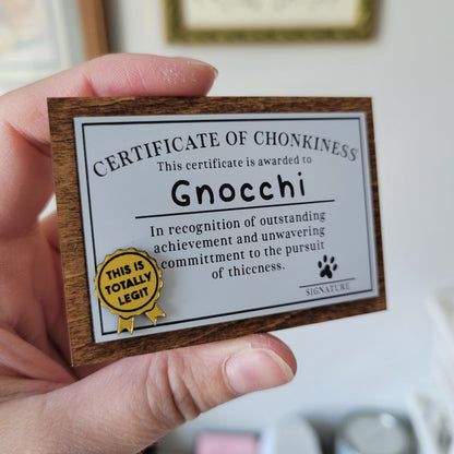 Hand holding a 'Certificate of Chonkiness' for a cat named Gnocchi with a wooden frame.