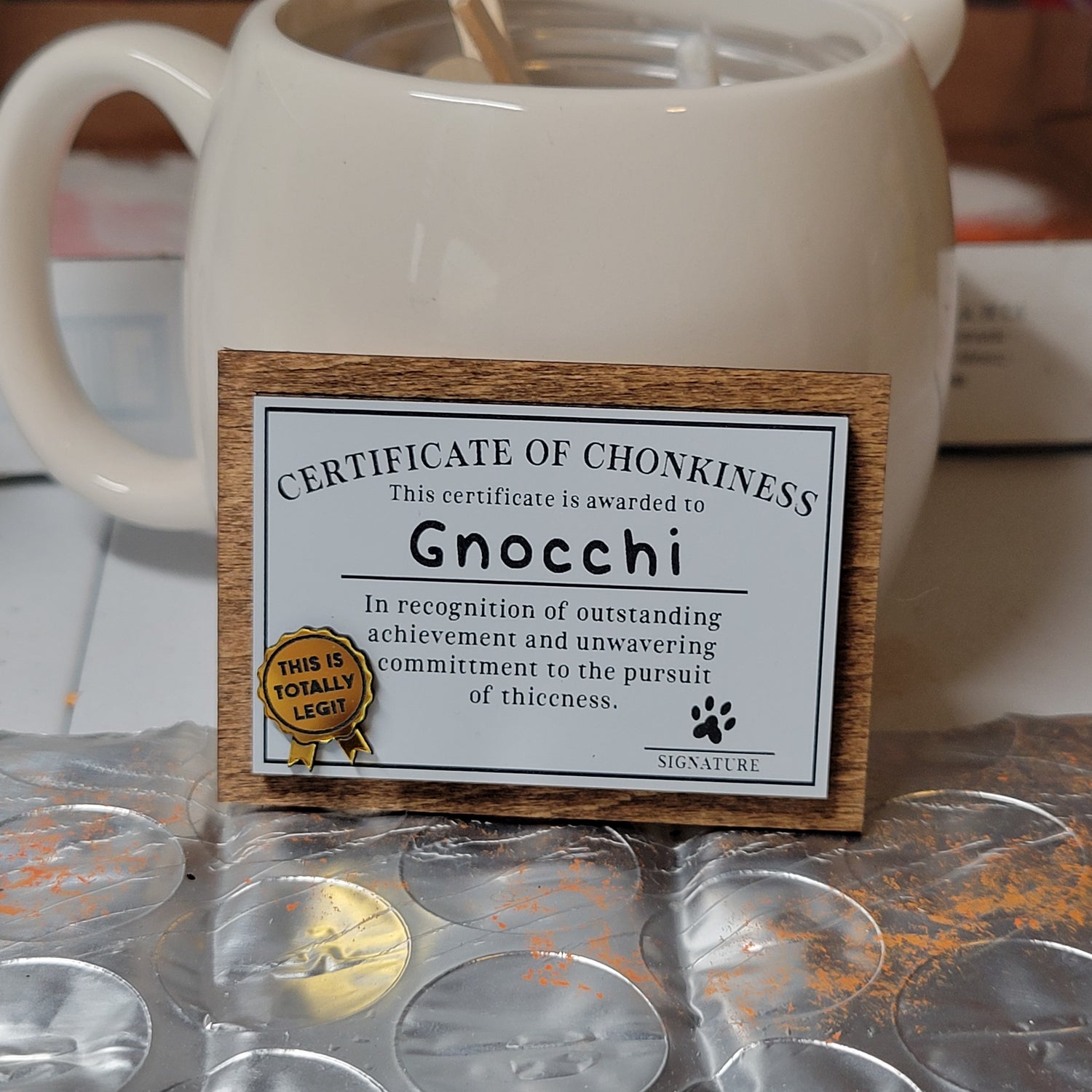 Certificate of Chonkiness awarded to Gnocchi with a mug and coins in the background