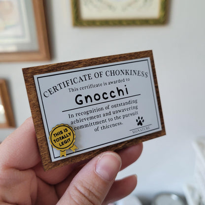 Hand holding a 'Certificate of Chonkiness' for Gnocchi