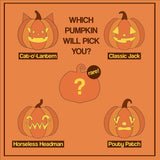 Mystery Pumpkin Patch Magnet Blind Bag | Collectible Glow-in-the-Dark Pumpkins