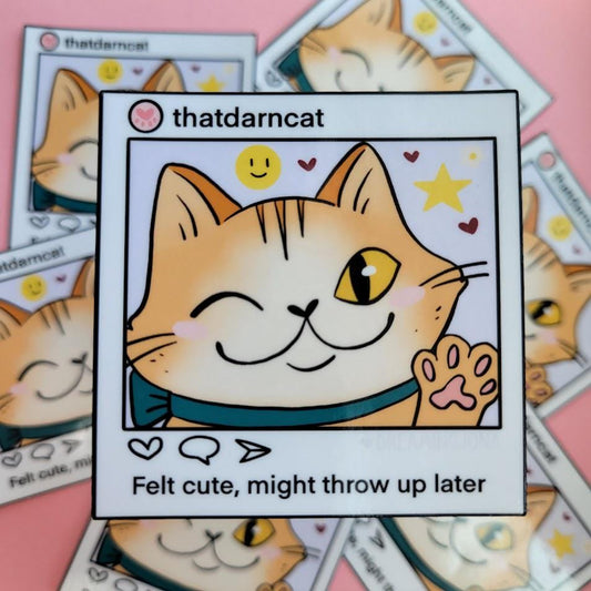 Felt Cute, Might Throw Up Later | Funny Cat sticker